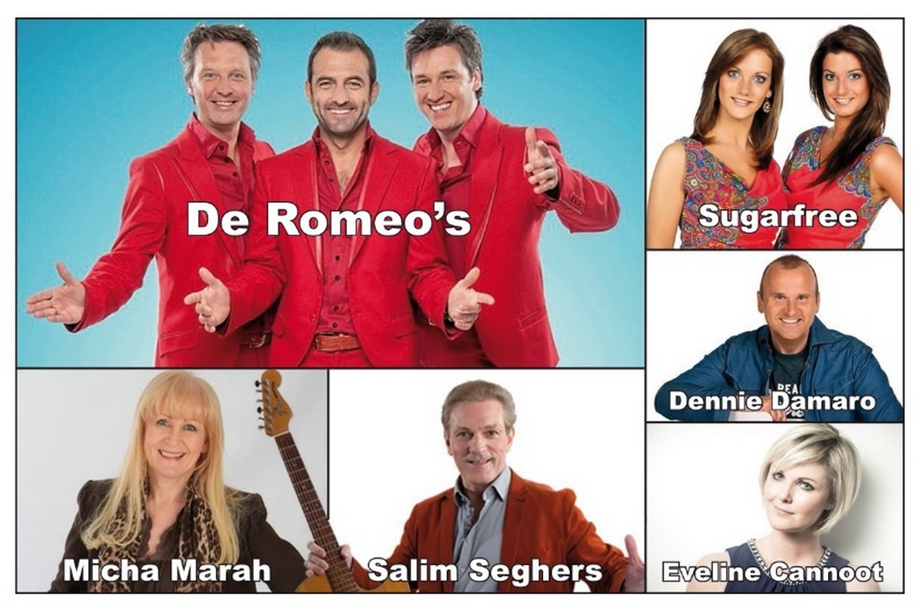 Vlaams Muziekfeest Zomertour 2017 Vlaams Muziekfeest Zomertour 2017