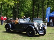 ACCE in Park van Brasschaat
